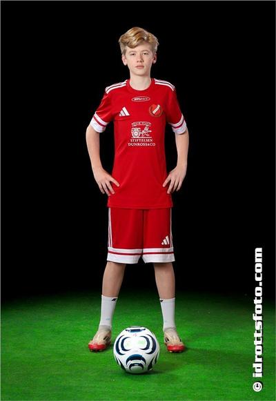 Md 217 oliver alvesson