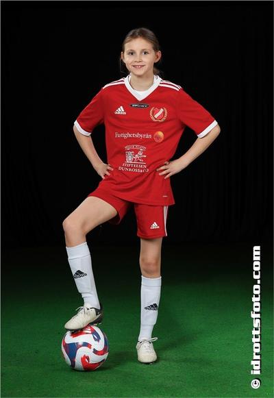 Md 17 disa wester