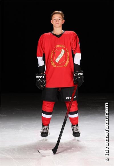 Md 195 william andersson