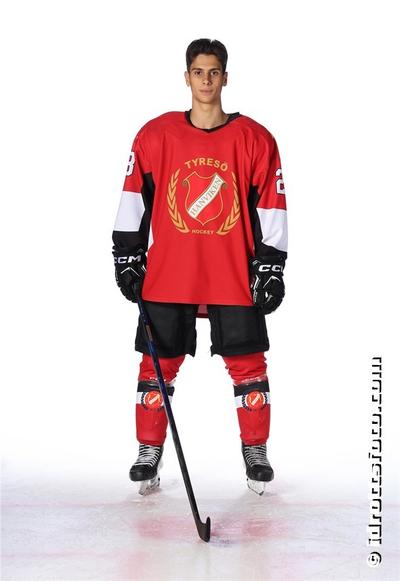 Md 234 jonatan thyselius