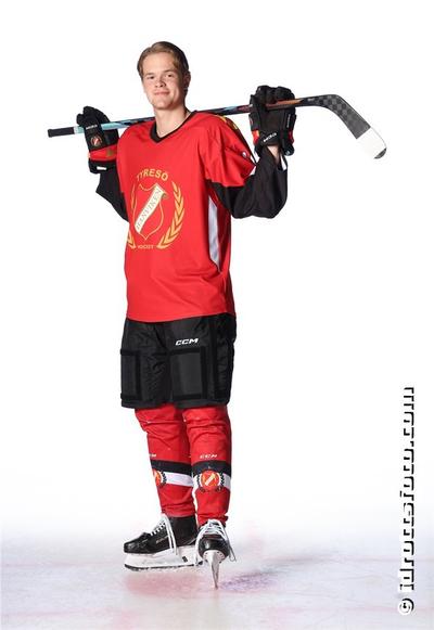 Md 229 vilmer smedmark