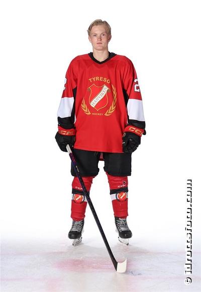 Md 233 eskil kokoric