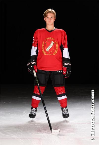 Md 200 ludvig pelicano