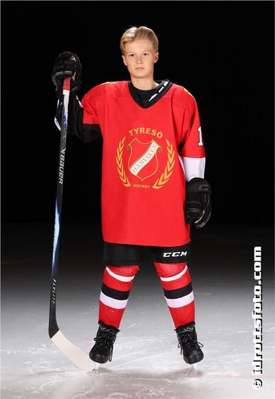 Md 17 ludwig tryborn