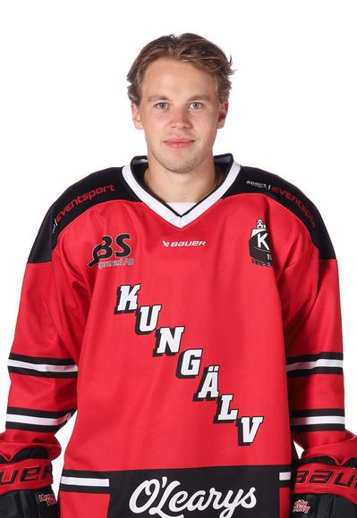 Md arvid fagerberg
