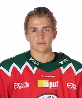 Md https   rmss hockeyse cdn prd.fra1.digitaloceanspaces.com sports player portrait 01e1fb52 586e 4e0f b236 6b49aec03eb5alfred persson