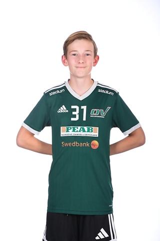 Md malik burazerovic