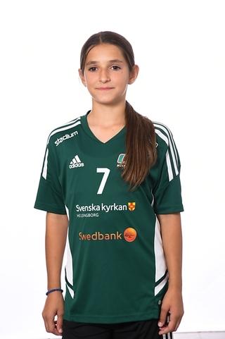 Md stefani iliev