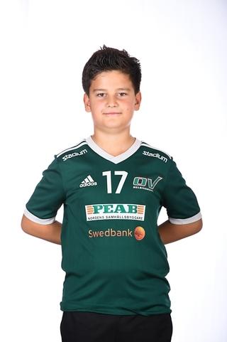 Md viktor edlund
