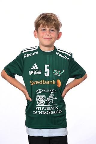Md leon vareskic