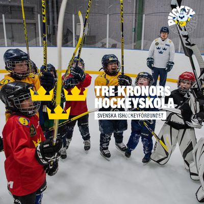 Md inlaggsbild logga 2 copy