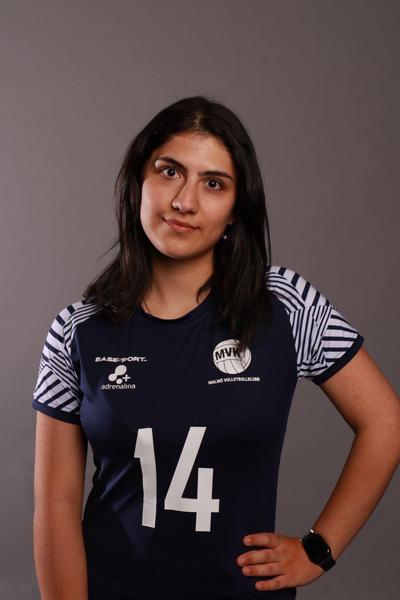 Md cd8ebcd3 55dd 435d 98f3 79cc63682e2f