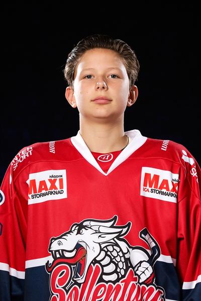 Md noah mets