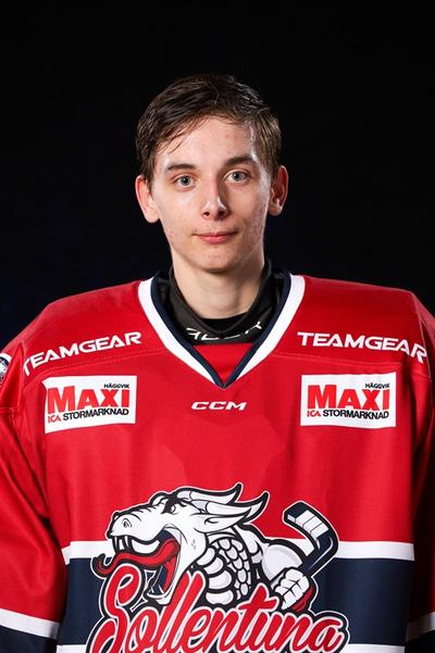 Md nils dalgard