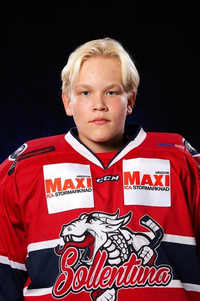 Md gustav svensk