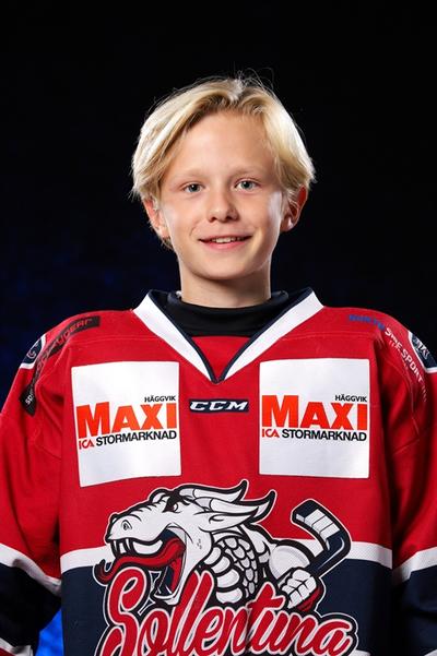 Md albin ringqvist