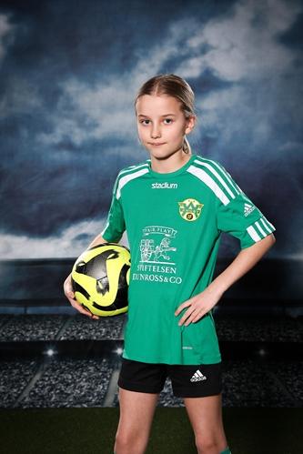 Md f13 thea bergmark